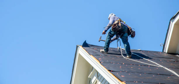 Best Residential Roof Replacement  in Holmes Beach, FL